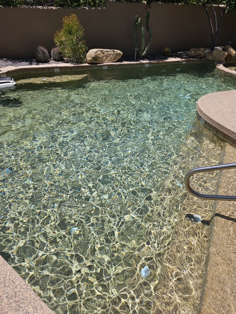 Modern Resort Pool with Sun Shelf